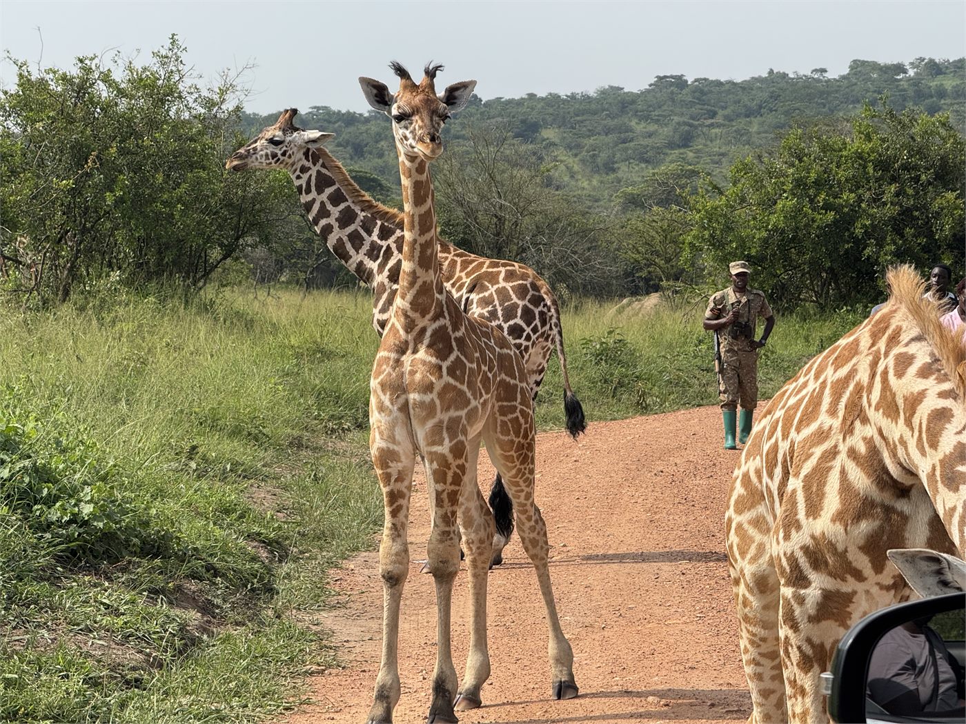 Couple-style walking safari setting in Lake Mburo National Park