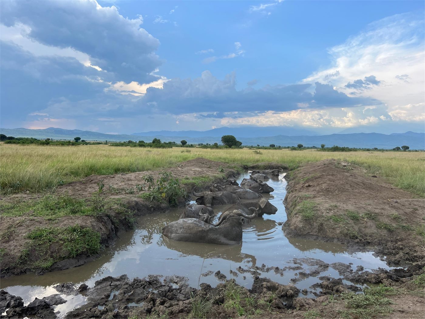 Queen Elizabeth National Park landscape with wide savannah views in Uganda